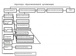 Структура образовательной организации